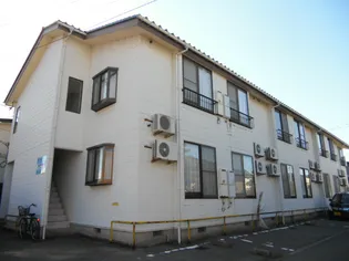 第2サンホワイトの画像