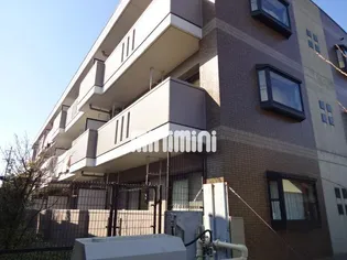 エバグリーンの画像