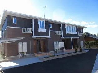 Y PLACE IIIの画像