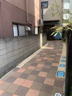 Mフローラの画像
