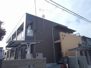 フェンネルの画像