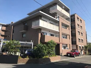 シャングリラの画像