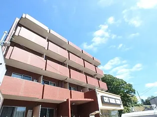 RAFFIAの画像