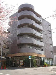 コンフォール セリバの画像