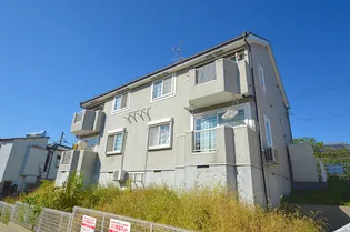 オリーブ長尾の画像