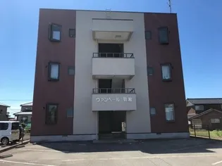 ヴァンベール羽根の画像