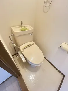 サンヨーク C棟【2階】の内装