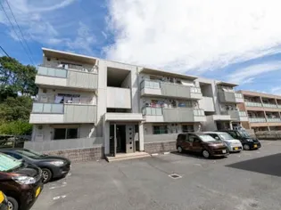 グランメール 21【3階】の外観