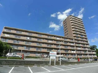 ROYAL RAISINの画像