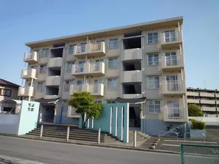 サウサリトファーストの画像