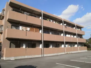 メゾンMロードIIの画像