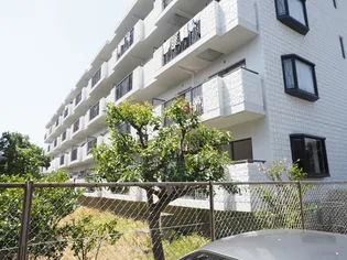 マイロードカマクラVOLIIの画像