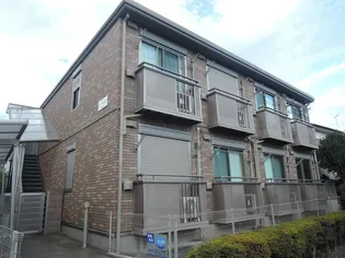 クリプトメリアの画像