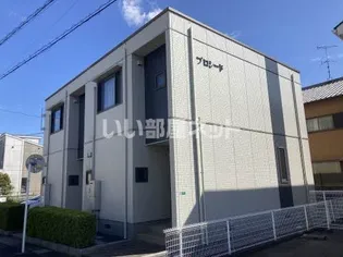 プロシードの画像