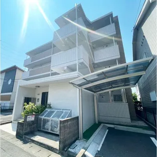 エクシヴコートの画像