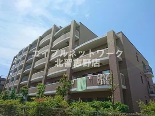 ベルファミーユ高根台IIIの画像