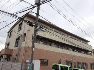 エトワール光の画像