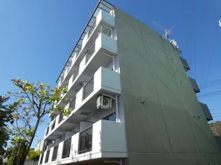 C'S28 KOYATAの画像