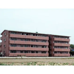 シャリルの画像