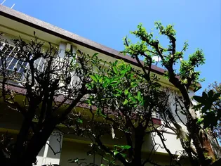 冨澤コーポ【2階】の外観