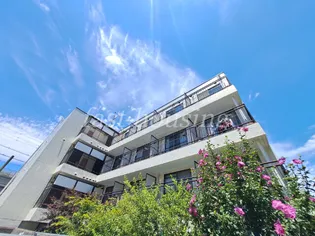 メゾンMEG【4階】の外観