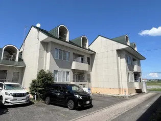 ピア アピスの画像