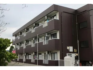 河北センスの画像