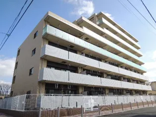 プルメリアの画像