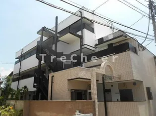 アカシアの木の画像