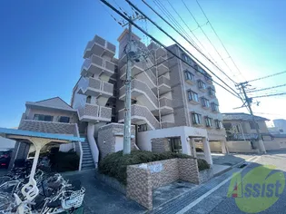 OCEANの画像