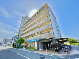 めるべーゆ杉の画像