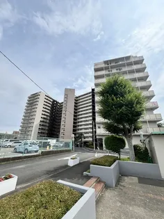 南砂町グリーンハイツ1号棟の画像