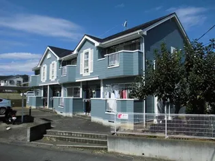 神奈川県秦野市鶴巻南4【アパート】の外観