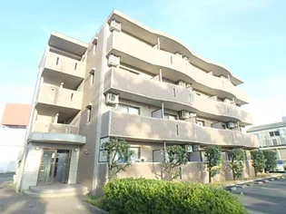 アポロミレニアの画像