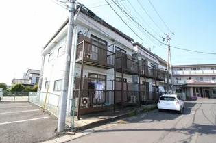 サンシャイン桜下の画像