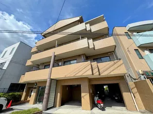 グレイシィ桂の画像