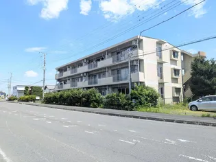 ベルメゾンの画像