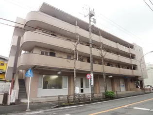 コシンヤIIIの画像