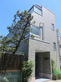 ナシェレIIの画像