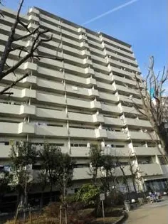 初台パークサイドハイツ【4階】の外観