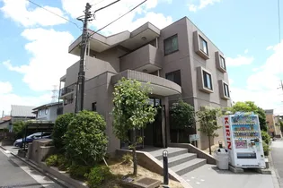 シュールの画像