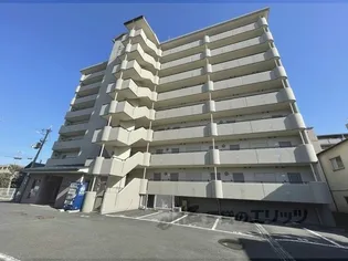 クローバーハイツ3【8階】の外観