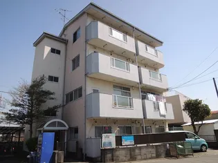シテヌーブの画像
