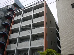 シトラスコートの画像