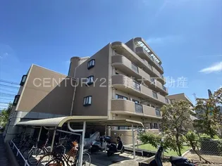 シャルマンシェソワの画像