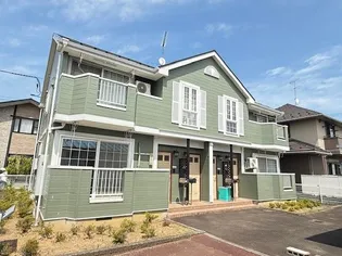 エヴァーグリーンの画像