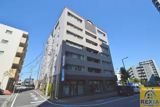 白樺フラッツ【4階】の外観
