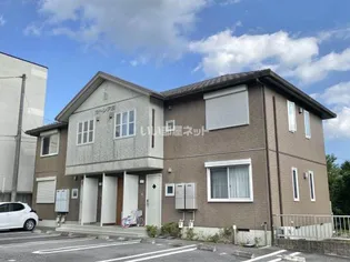 カトレア Bの画像