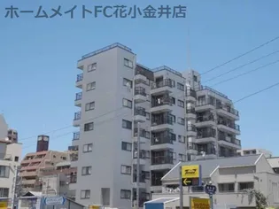 野崎ビルの画像