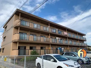 クイーン ビーマンションの画像